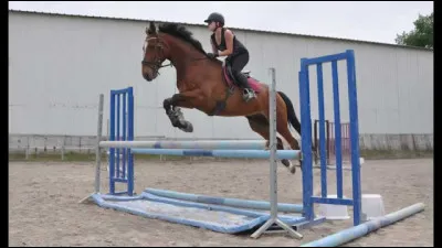 Comment s'appelle cet obstacle ?