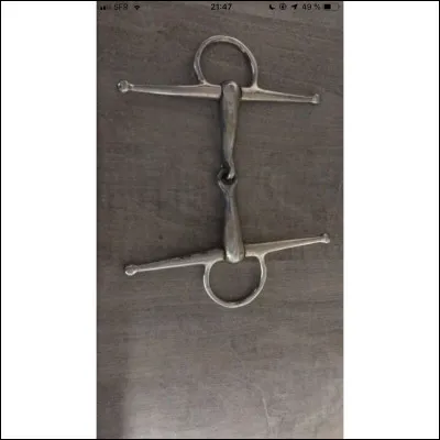 Comment s'appelle ce mors ?