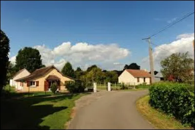 Commune du Centre-Val-de-Loire, dans la région agricole du Gâtinais pauvre, Ouzouer-des-Champs se situe dans le département ...