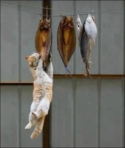 L'important dans ce sport, c'est d'être patient et en bonne forme physique, ça peut durer des heures !