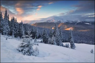 Quel temps te correspond le mieux ?