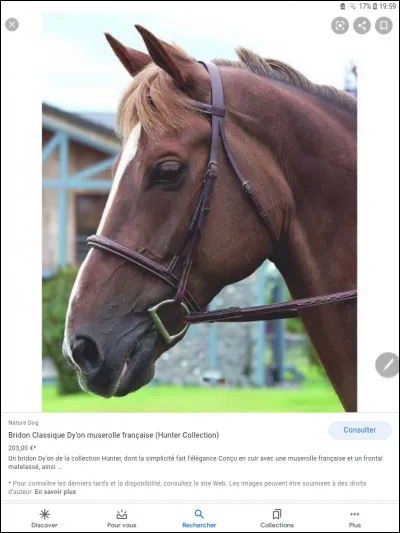 Cette muserolle est une muserolle ...