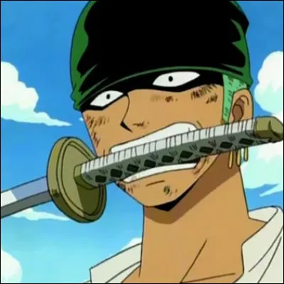 Qui est le/la tout(e) premier(e) ami(e) de Zoro ?