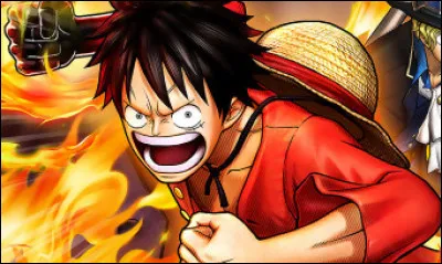 Qui est la ou le premier pirate à combattre Luffy ?