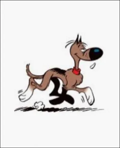 Comment s'appelle le chien de Luky Luke ?