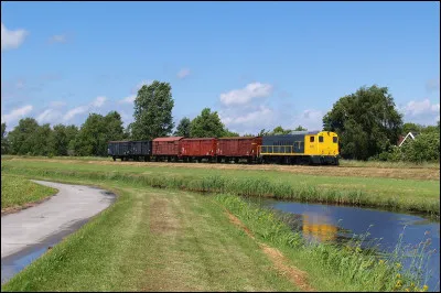 Gasselterboerveenschemond est un village néerlandais situé dans la province de Drenthe. En 2004, il comptait 40 habitants. Parmi ces drapeaux, pourriez-vous retrouver celui de la province dans laquelle est située cette petite bourgade ?
Indice : au Moyen-Âge, il pouvait s'avérer très utile, surtout en temps de guerre.