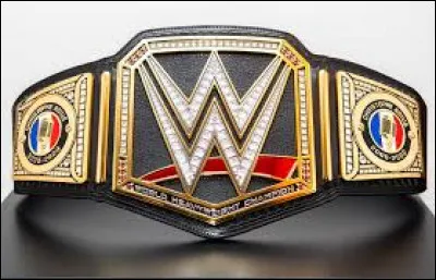 Dans quel sport peut-on voir ce type de ceinture ?