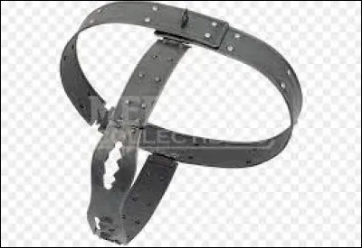 À quoi sert la ceinture de chasteté ?