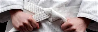 Quelle est la couleur de la ceinture du premier niveau au judo ?