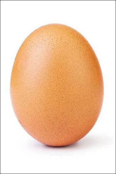 Où Frégate éclot-elle ?