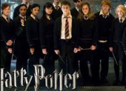 Test Qui es-tu parmi les personnages  Harry Potter  que j'ai imagins ?