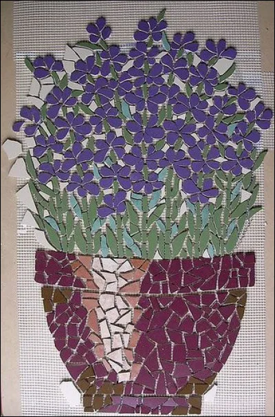 Quel sol est favorable à la culture de la lavande ?