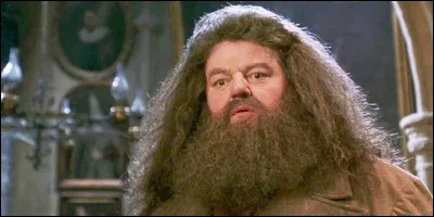 Comment s'appelle ce personnage ?