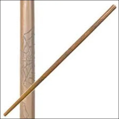 Beaucoup plus dur pour la dernière question ! Peut-être que tu vas y arriver. Qui sait ?
À qui appartient cette baguette ?