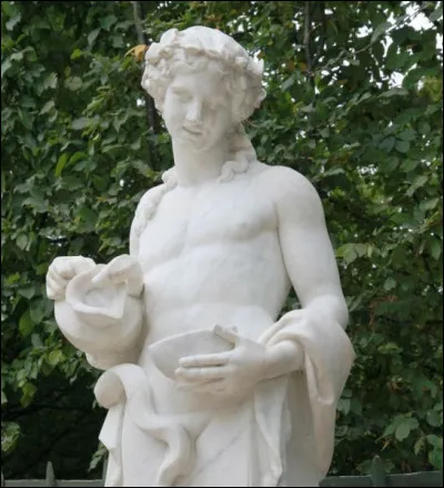 Que signifie, en français, le mot latin "cuna" ?