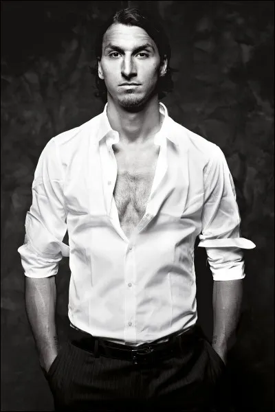 Qui est Zlatan Ibrahimović ?