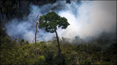 Quelle est la capitale du Brésil ?