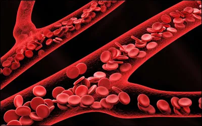 Laquelle de ces paraphilies désigne le fait d'être attiré sexuellement par les menstruations ?