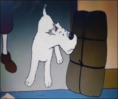 Un colis est d&eacute;pos&eacute; sur le c&ocirc;t&eacute; de la porte avec une lettre donnant rendez-vous &agrave; Tintin. Mais &agrave; quelle heure ?Mais &agrave; quel heure doit-il ce pr&eacute;senter ?