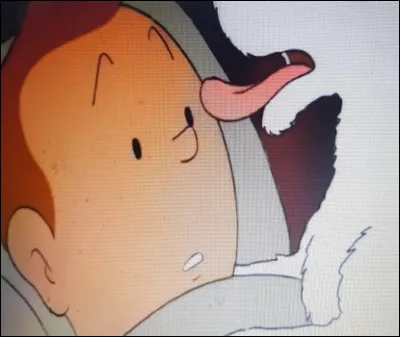 Apr&egrave;s s'&ecirc;tre fait jeter &agrave; l'eau dans une malle et ensuite rep&ecirc;ch&eacute;, quel homme Tintin voit-il en premier lors de son r&eacute;veil ?