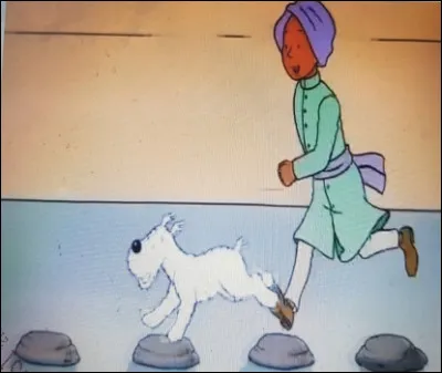 Au d&eacute;but le fils du maharadja joue avec Milou.Mais ce dernier tombe dans l'eau. Apr&egrave;s qui courait-il&nbsp; ?