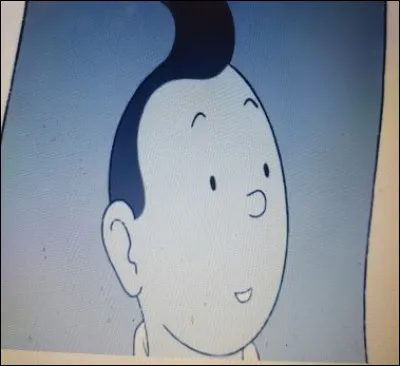 Lorsque Tintin monte dans le v&eacute;hicule du porteur il demande&agrave; se faire conduire au port. Un homme regarde unephoto de Tintin. De qui s'agit-il&nbsp; ?