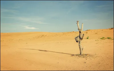 "Wild Wild West" est un film interprété par Will Smith.