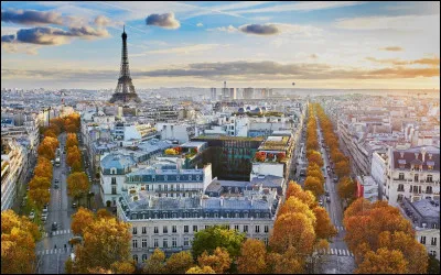 "Un éléphant ça trompe énormément" est un film dans lequel joue Nicolas Bedos.