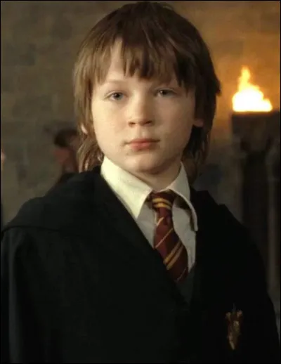 Qui est ce personnage dans Harry Potter ?