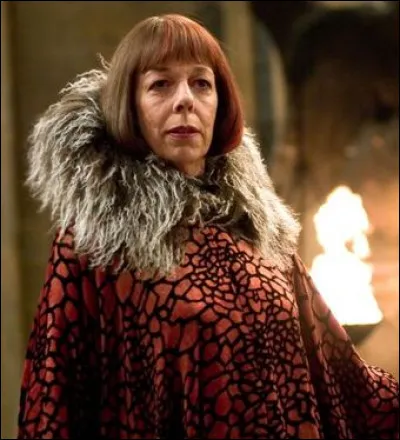Qui est ce personnage dans Harry Potter ?
