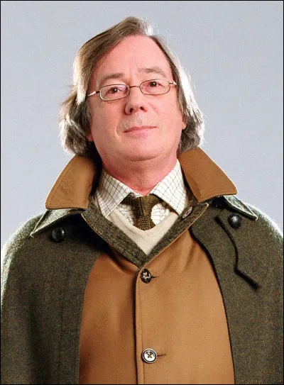 Qui est ce personnage dans Harry Potter ?