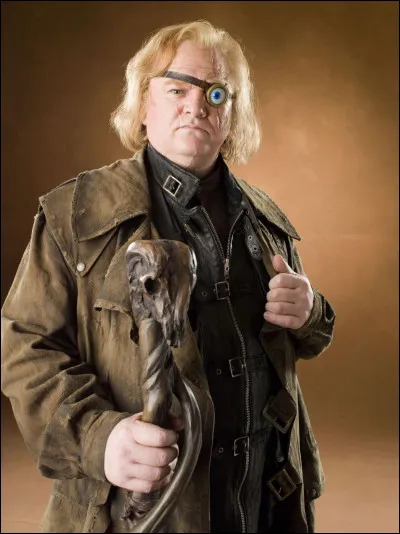 Qui est ce personnage dans Harry Potter ?