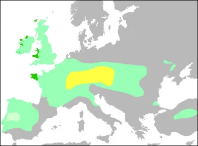 Second Âge du fer (- Ve s.) > Il n'a pas eu "d'invasion" des [quel peuple ?], puisqu'ils étaient déjà présent en Europe : [quoi ?] s'est diffusée à partir d'un foyer originel.