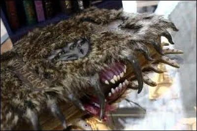 Comment s'appelle le livre qu'Hagrid demande pour son cours ?