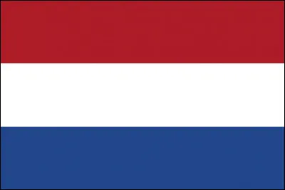 Quel joueur de Ligue 1 n'est pas néerlandais ?