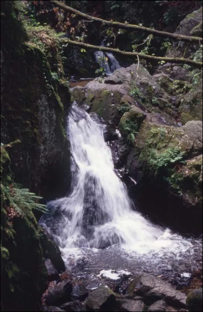Voici au sommet de la haute vallée de la Vologne l'une des plus belles cascades des Vosges. Il s'agit du...