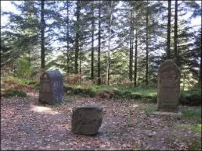 Voici un camp celtique de la Bure a été habité de 2 000 ans av. J.-C. au IVe siècle de notre ère. Dans quelle ville peut-on le voir ?