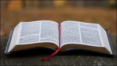 Qui a &eacute;t&eacute; jet&eacute; dans une fosse aux lions selon la "Bible" ?