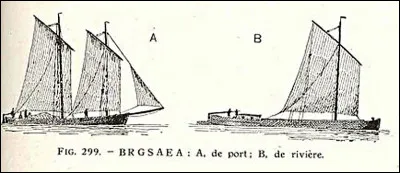À partir du Moyen-Âge, mais surtout au XIXe s., on vit un grand nombre de [nom d'un bateau] charriant moultes eaux-de-vie, principalement [...]. Complétez les crochets !