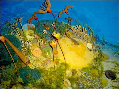 Parmi ces périodes géologiques, laquelle fait partie de l'ère primaire ?