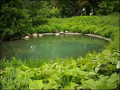 Quel est le nom donné à la résurgence formant la source principale du Loiret, que nous pouvons voir en photo ?