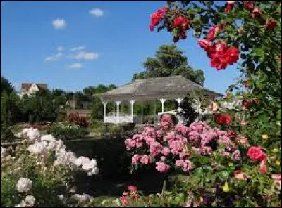 Dans la ville de Saverne, on peut-y voir une roseraie. Où se situe cette ville ?