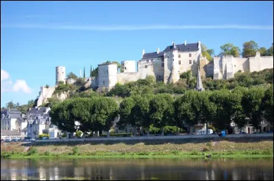 C'est la seule forteresse médiévale du Val de Loire, Jeanne d'Arc y rencontra le dauphin qui allait devenir le roi Charles VII :