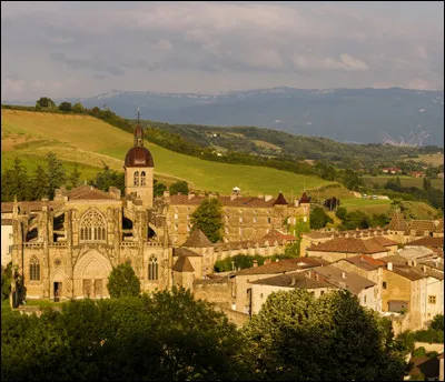 Quelle est cette cité médiévale aux ruelles tortueuses, située aux portes de la Drôme, non loin de Saint-Marcellin, dans le département de l'Isère ?