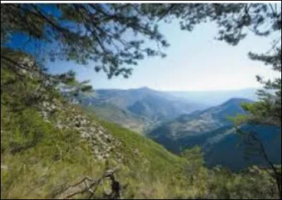 Dans le paysage avoisinant, nous pouvons nous promener dans la r&eacute;serve naturelle de Sadoue. Que peut-on y trouver ?