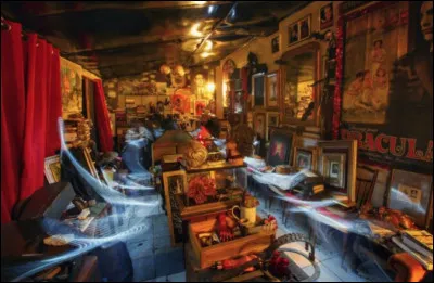 Du sang, des masques, des chats momifi&eacute;s, des cr&acirc;nes et d'autres objets vari&eacute;s... Comment peut bien s'appeler ce mus&eacute;e qui se trouve &agrave; Paris ?