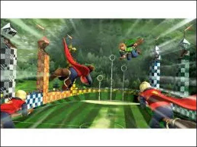 Et pour finir, quel est ton avis &agrave; propos du quidditch ?