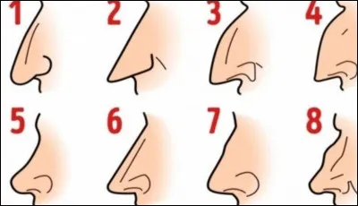 Quelle sorte de nez as-tu ?