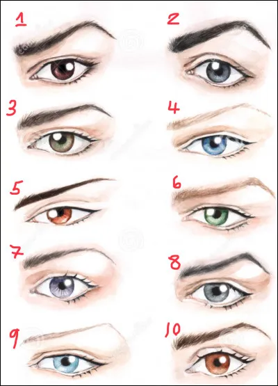 Quels yeux et sourcils te correspondent le plus ?
(Ne fais pas référence à la couleur de tes yeux)