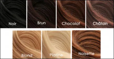 Quelle est ta couleur de cheveux ?